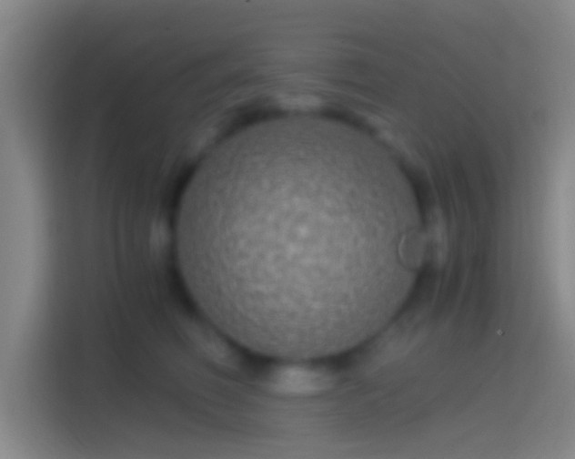 X0000114390614200910231018
