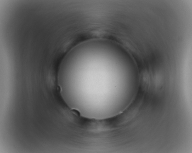X0000114390615200910231018