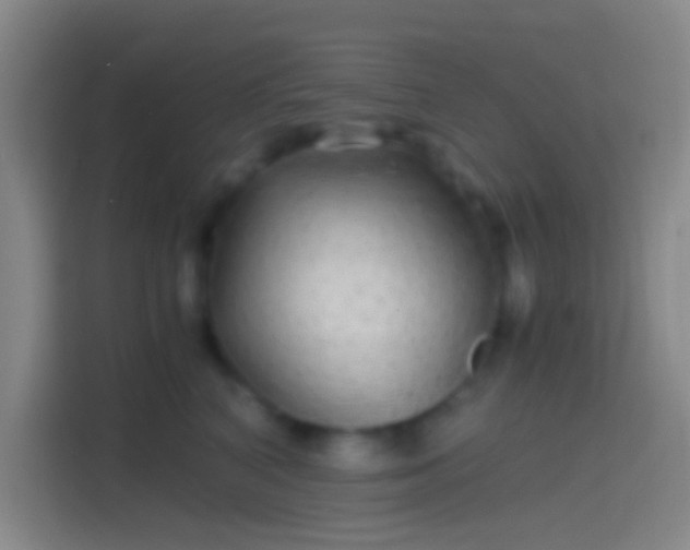 X0000114390616200910231018