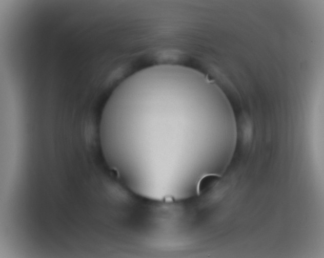 X0000114390619200910231018