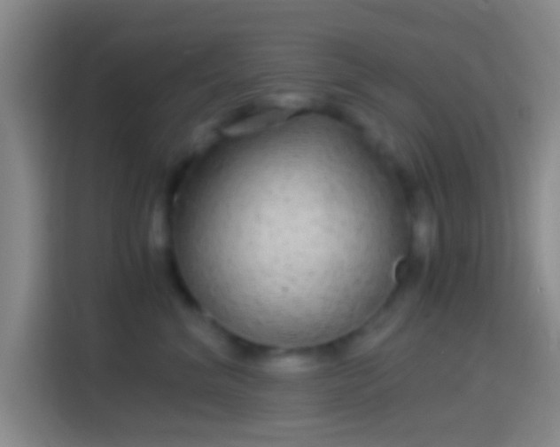 X0000114390620200910231018