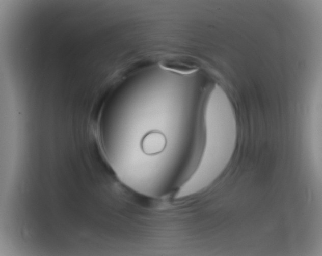 X0000114390621200910231018