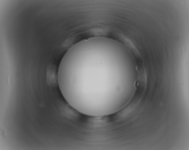 X0000114390622200910231018
