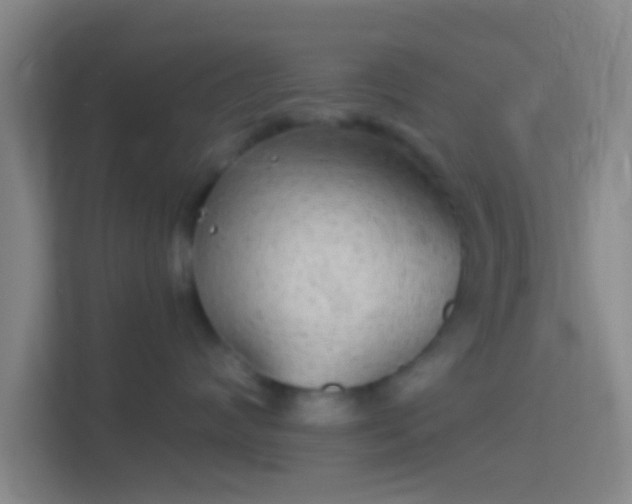 X0000114390624200910231018