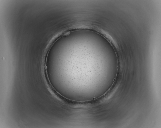X0000114390625200910231017