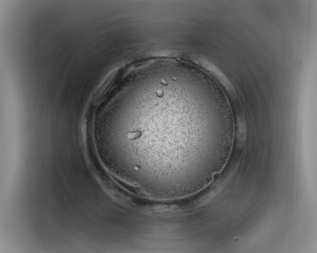 X0000114390626200910231017