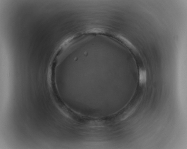 X0000114390627200910231017