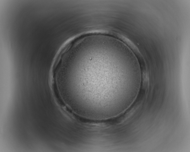 X0000114390628200910231017