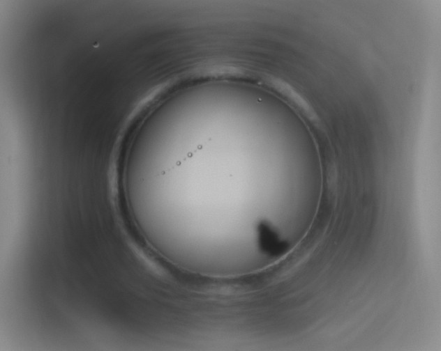 X0000114390629200910231017