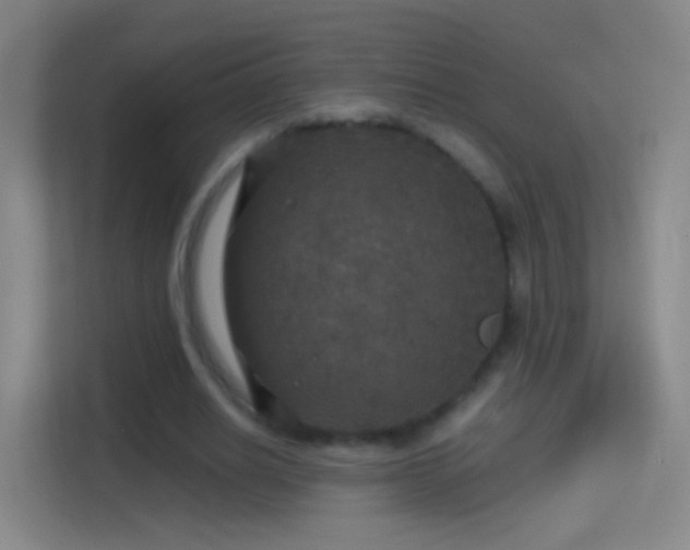 X0000114390630200910231017