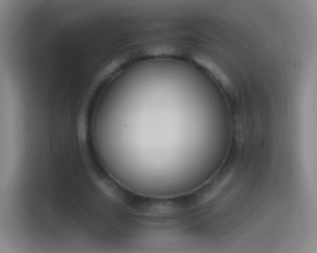X0000114390631200910231017