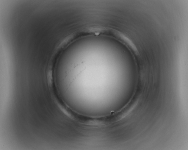 X0000114390633200910231017
