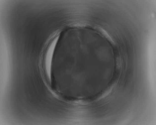 X0000114390634200910231017