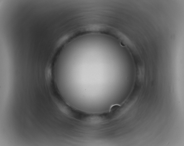 X0000114390636200910231017