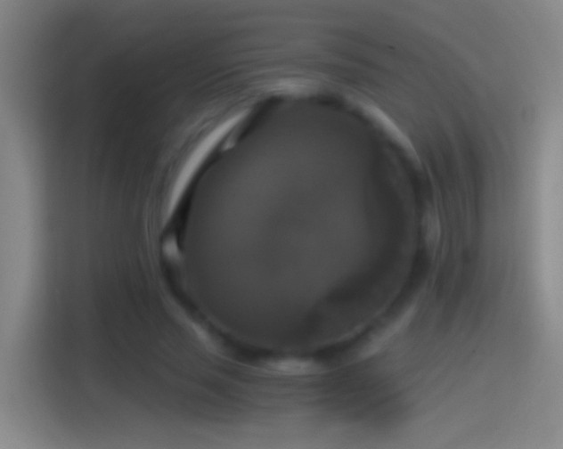 X0000114390637200910231017