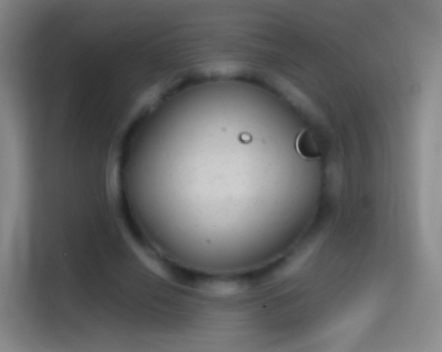 X0000114390638200910231017