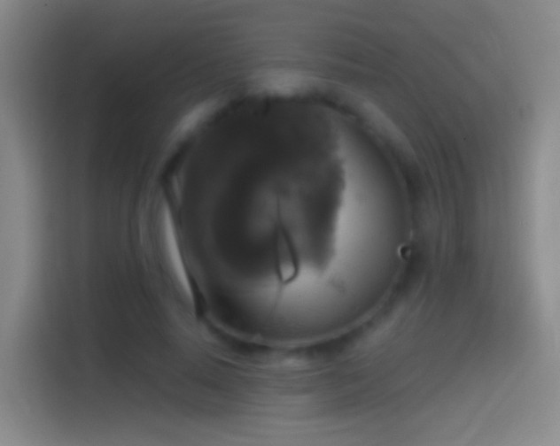 X0000114390640200910231017