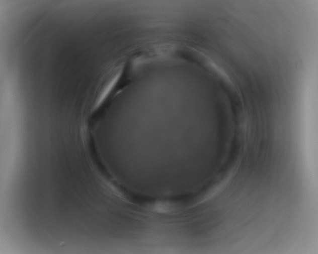 X0000114390641200910231017