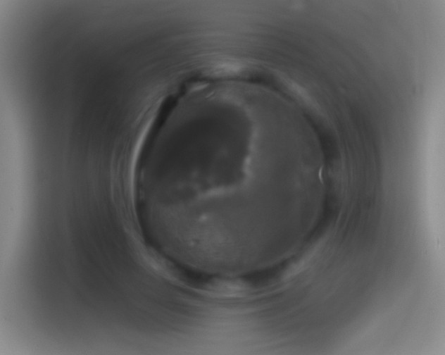 X0000114390642200910231017