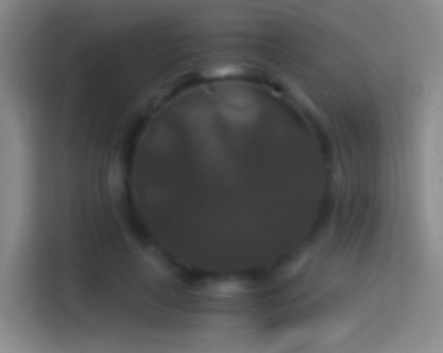 X0000114390643200910231017