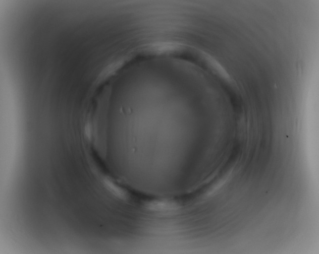 X0000114390644200910231017