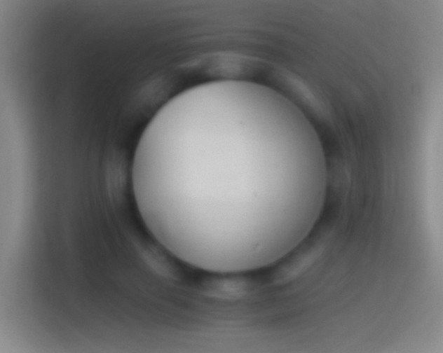 X0000114390645200910231017