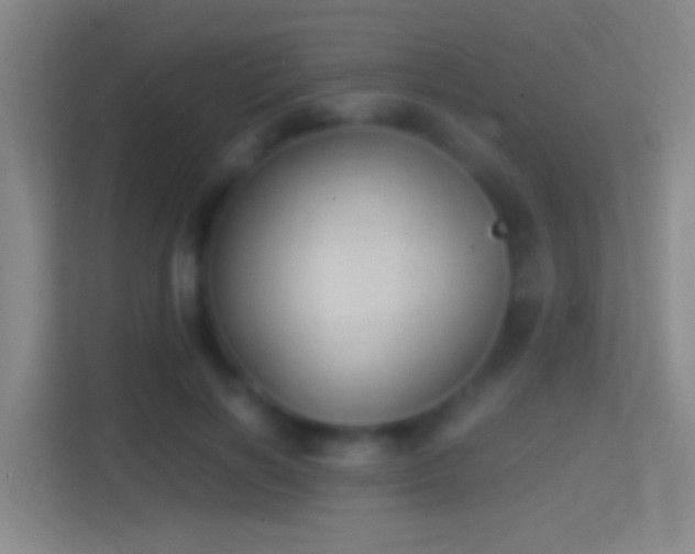 X0000114390646200910231017