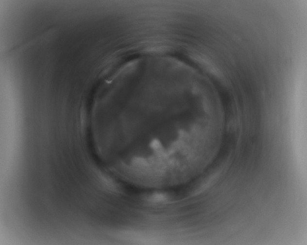 X0000114390647200910231017