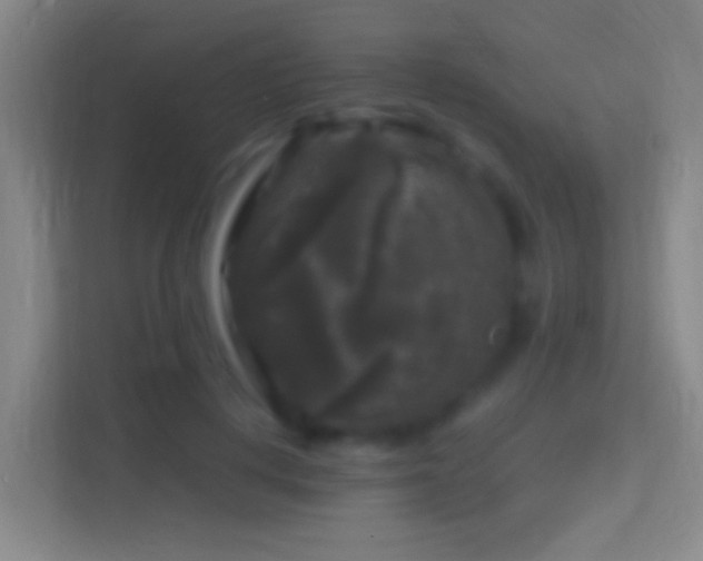 X0000114390648200910231017