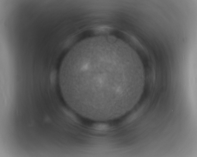 X0000114390649200910231017