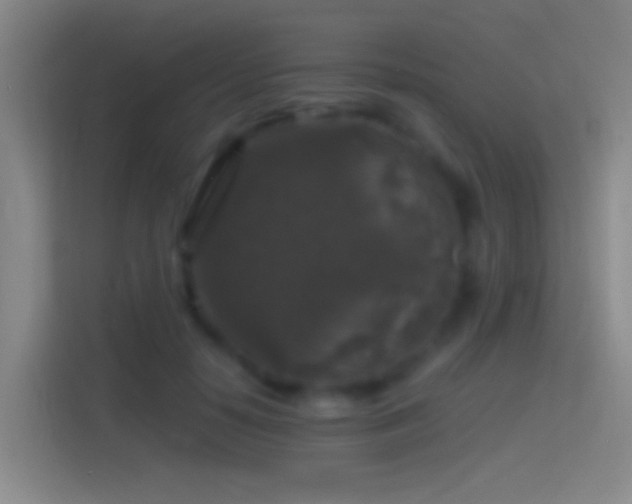 X0000114390650200910231017