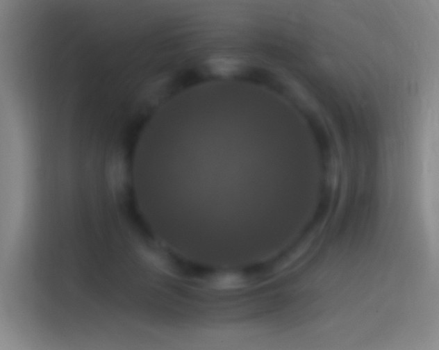 X0000114390651200910231017