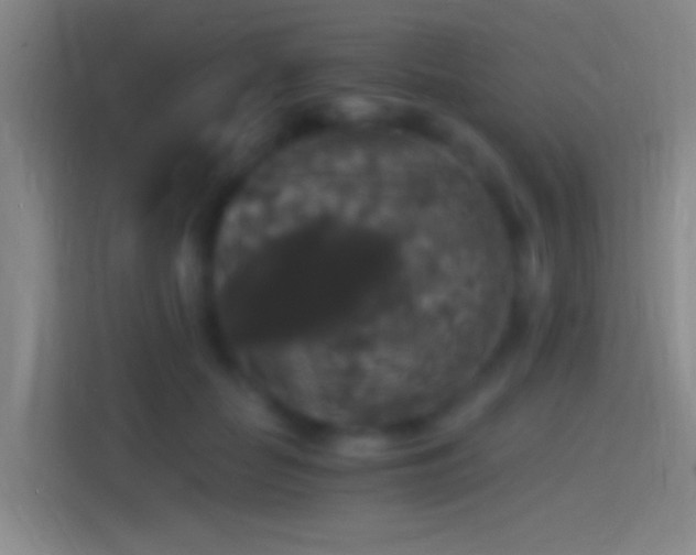 X0000114390653200910231017