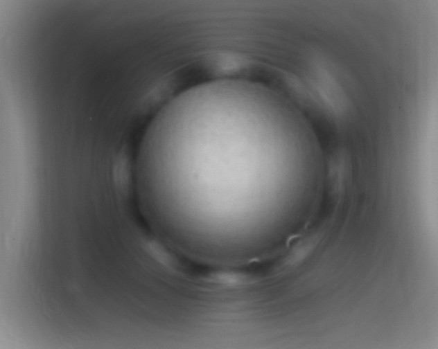X0000114390654200910231017