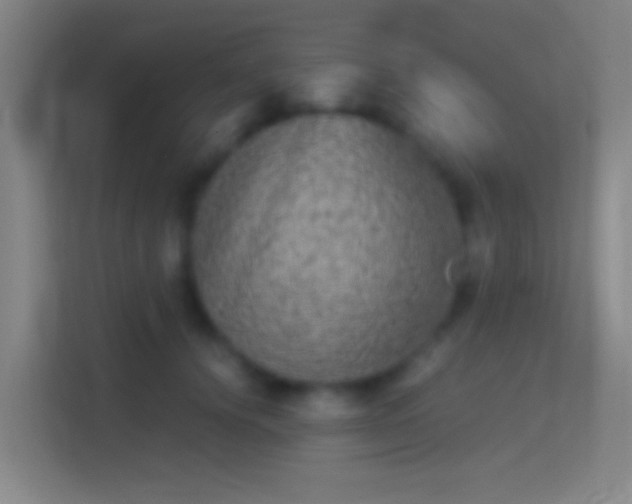 X0000114390656200910231017