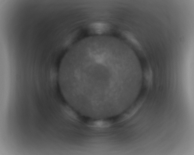 X0000114390657200910231017