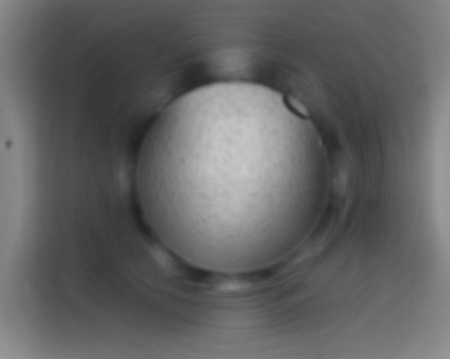 X0000114390658200910231017