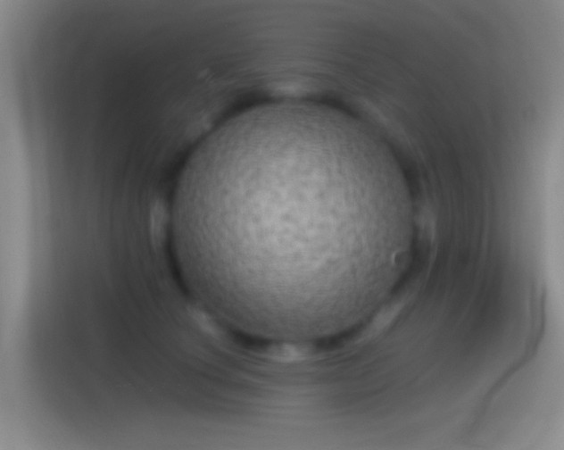 X0000114390660200910231017