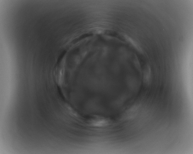 X0000114390661200910231018