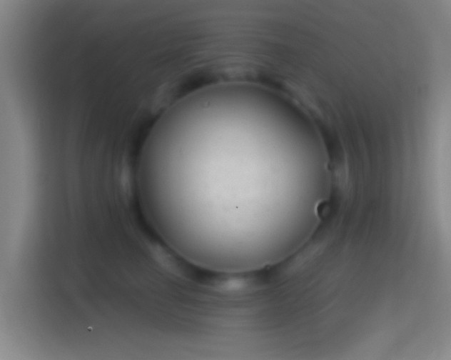 X0000114390662200910231018