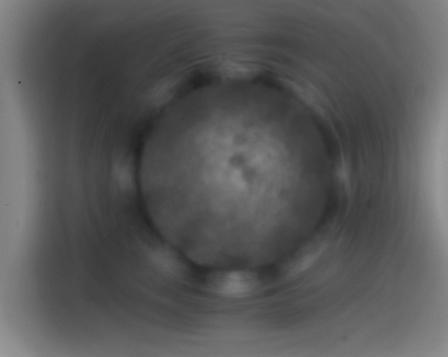X0000114390663200910231018