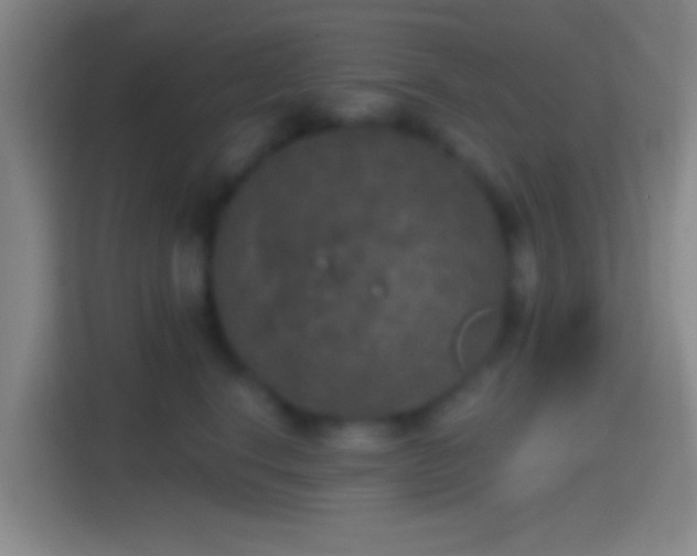 X0000114390664200910231018