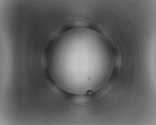X0000114390666200910231018