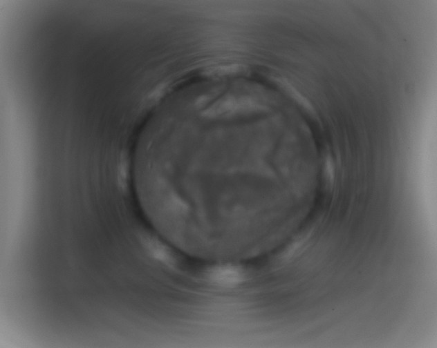 X0000114390668200910231018