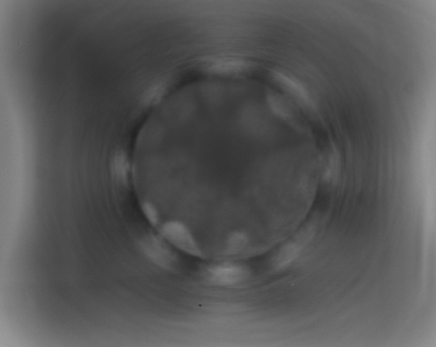 X0000114390669200910231018