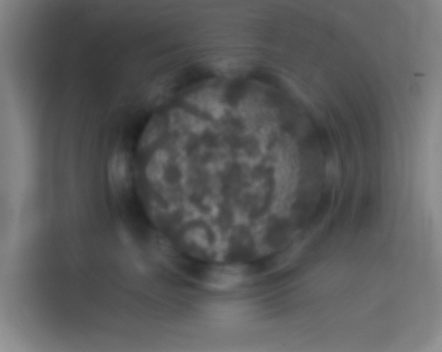 X0000114390671200910231018