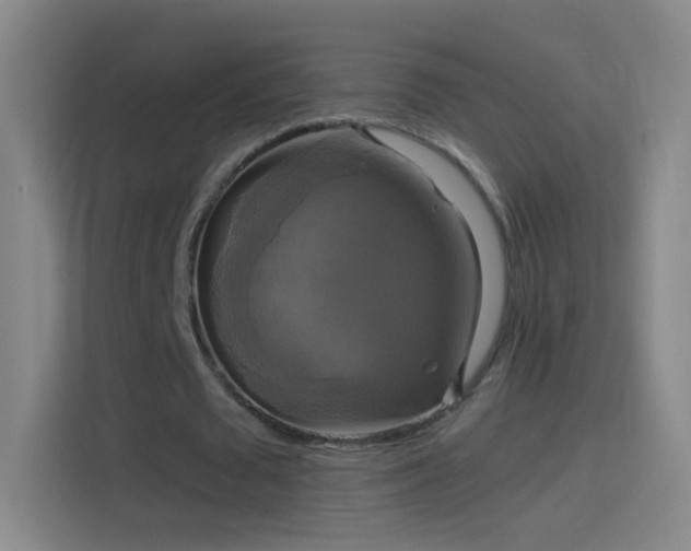 X0000114390673200910231017