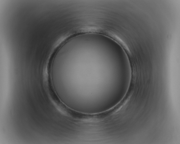 X0000114390674200910231017