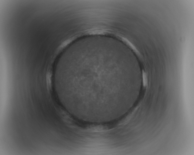 X0000114390675200910231017
