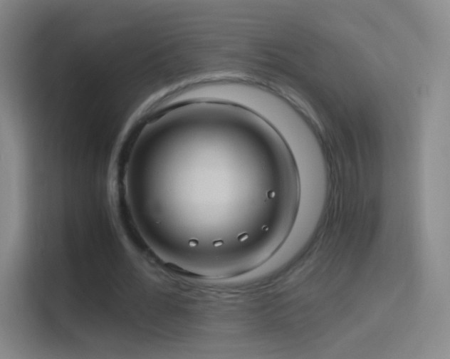 X0000114390676200910231017